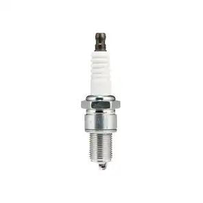 Polaris Spark Plug