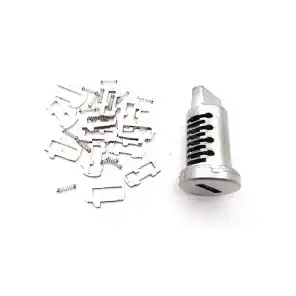 Codeable Key Cylinder BMW